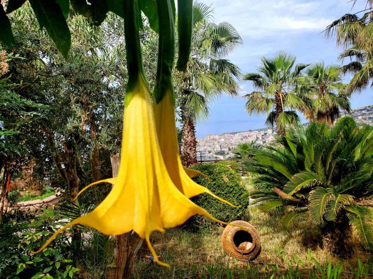 ساراندا Villa Kristiano 21 المظهر الخارجي الصورة
